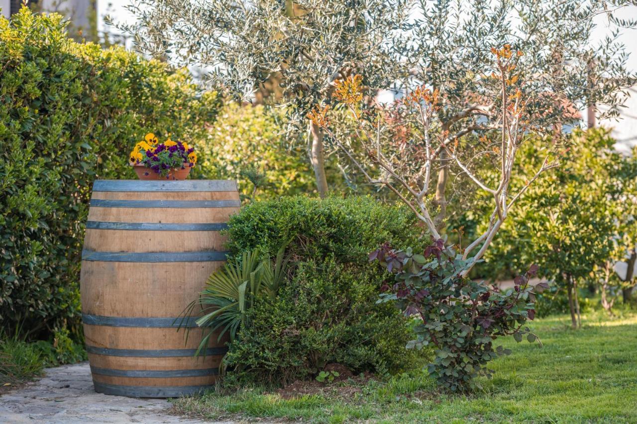 Wine Garden Holiday Home プーラ エクステリア 写真